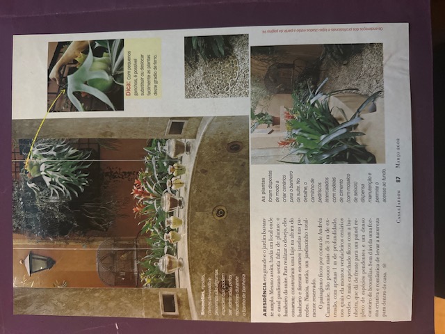 2023-05-29 17.25.12.JPG