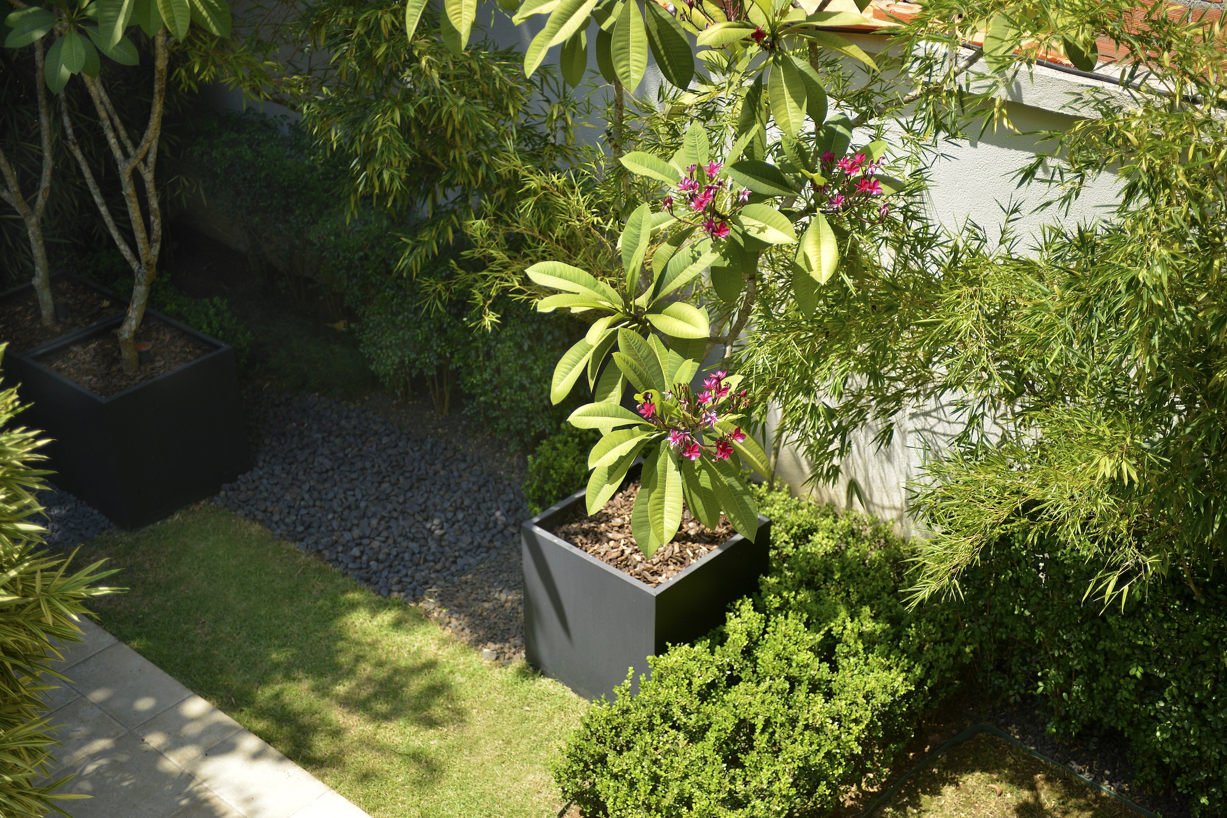 2014 VERA VASTO_0004 (1).jpg